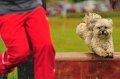 2013-05-19 um 14-22-25